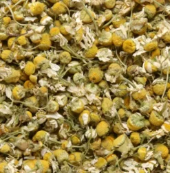 Fashion Compagnie & Co Camomille matricaire (Chamomile)