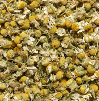 Fashion Compagnie & Co Camomille matricaire (Chamomile)