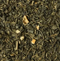 New Compagnie & Co Cinq Continents