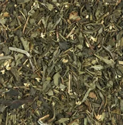 Fashion Compagnie & Co Fruits & Fleurs des Bois