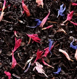 Online Compagnie & Co Noël/Neiges/Etoile d'Orient Gift set