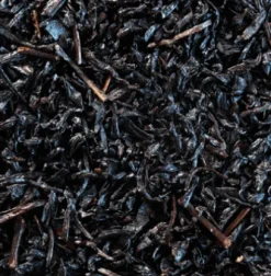 Clearance Compagnie & Co Pêche Abricotée