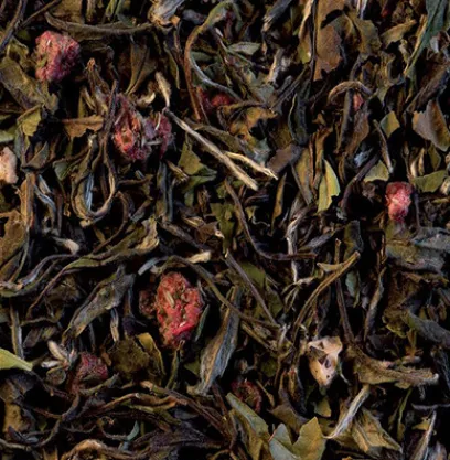 Outlet Compagnie & Co Reine Hortense