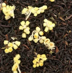 New Compagnie & Co Ronde de Pâques