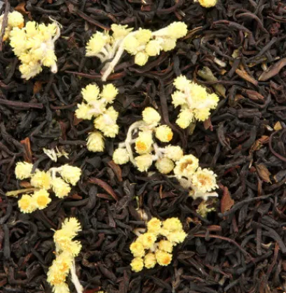 New Compagnie & Co Ronde de Pâques